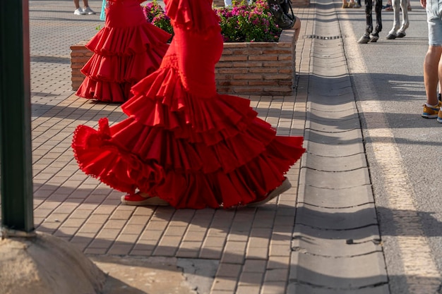 Stap in de wereld van de Spaanse dans met een polka dot flamenco jurk. Een rijke fusie van cultuur, design en beweging, het is de belichaming van de Andalusische stijl.