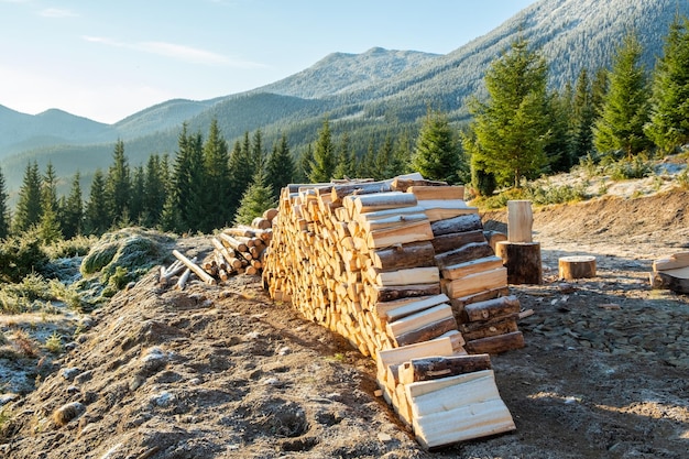 Foto stapel besneeuwd brandhout in bergen zonnige foto