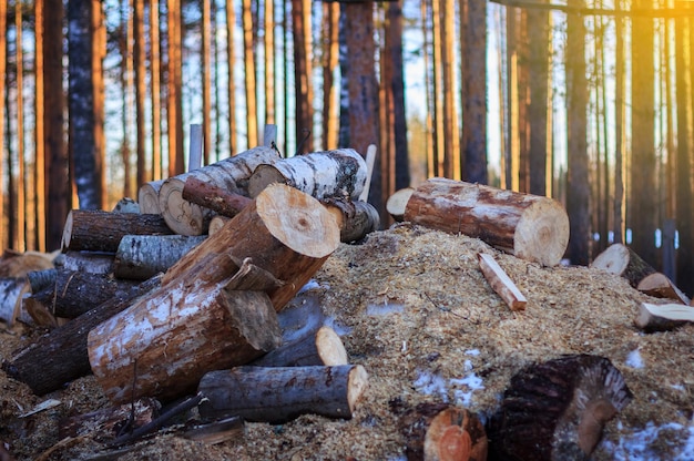 Stapel brandhout op een hoop