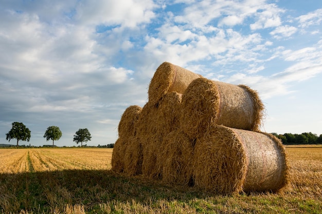 Stapel hooibalen in het veld