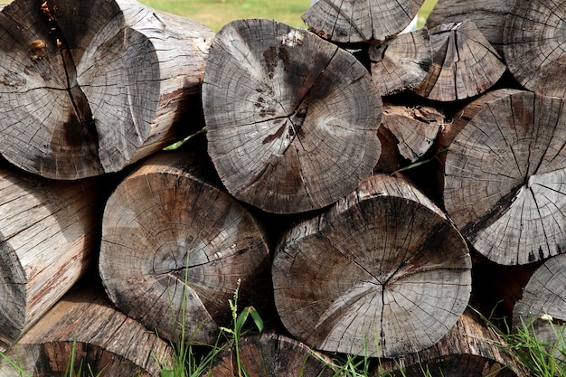 Stapel hout op gras