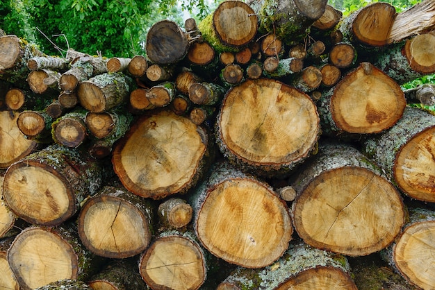 Stapel hout voor verwarming