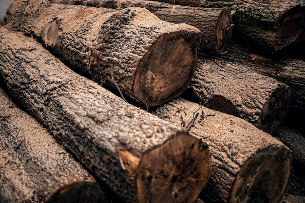 Stapel hout voorbereid om te snijden