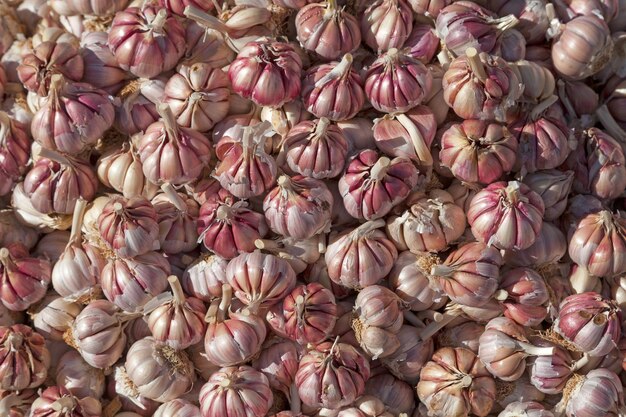 Stapel knoflook op een marktkraam