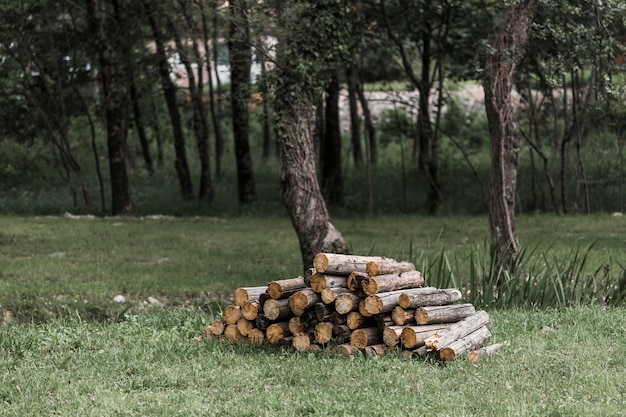 Foto stapel login het bos