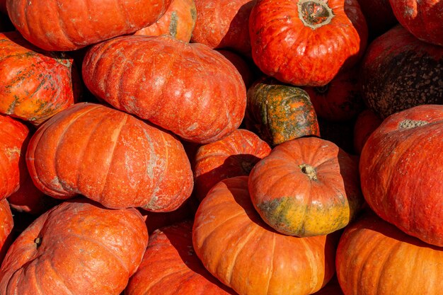 Stapel stapel pompoenen op de boerenmarkt