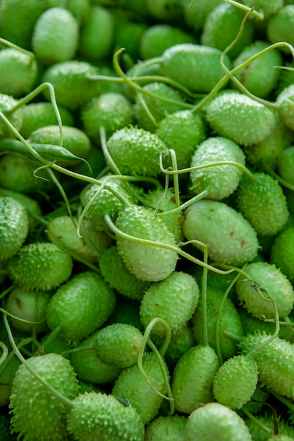 Stapel stekelige groene cucumis anguria-vruchten te zien op een openluchtmarkt in brazilië