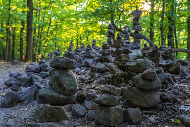 Foto stapel stenen in het bos.