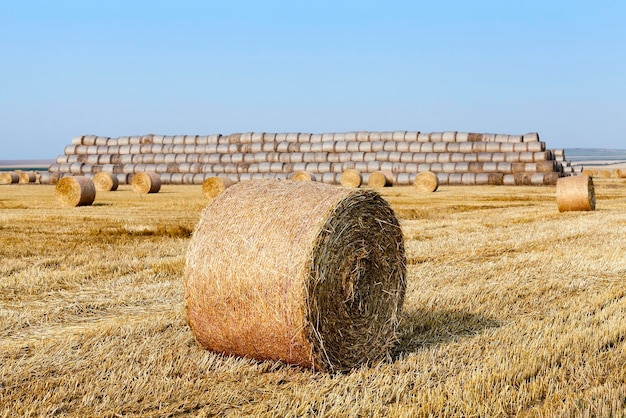 Stapel stro in het veld