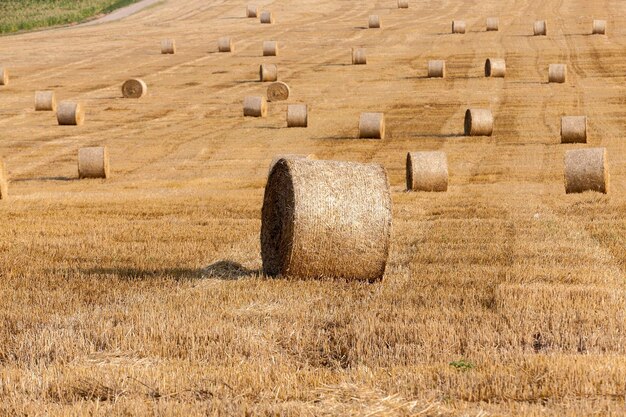 Stapel stro in het veld