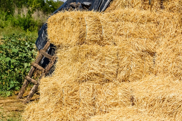 Stapel van de rechthoekige strobalen op een boerenerf