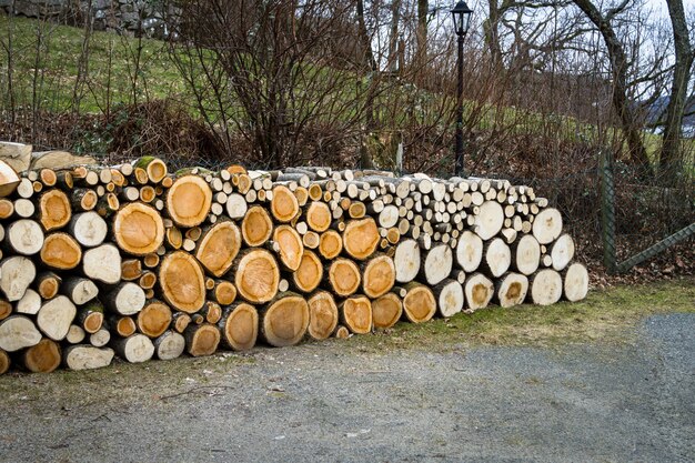 Stapel van natuurlijke houten logboeken