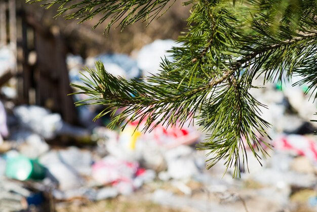 Stapel vuilnisbelt in het bos, natuur milieuproblemen. Wereldwijde vervuiling van de aarde.