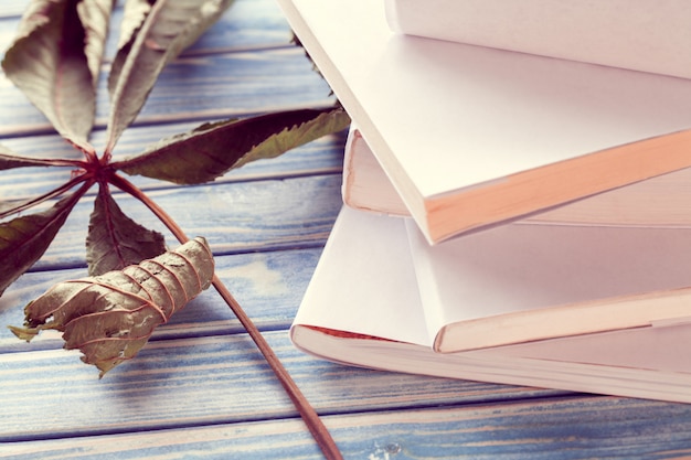 Stapel witte boeken met esdoornblad