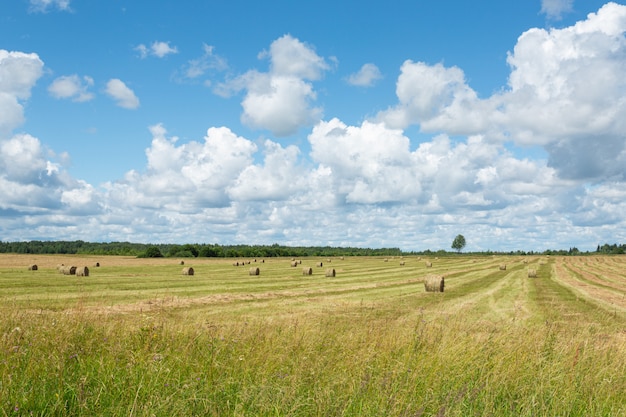 Stapels stro in het prachtige groene veld op een bewolkte dag