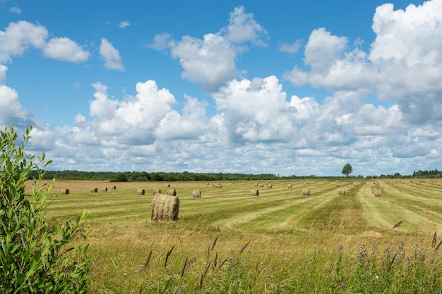 Stapels stro in het prachtige groene veld op een bewolkte dag
