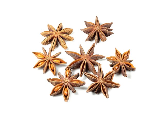 Photo star anise badian illicium verum or chinese star anise is the major source of shikimic acid