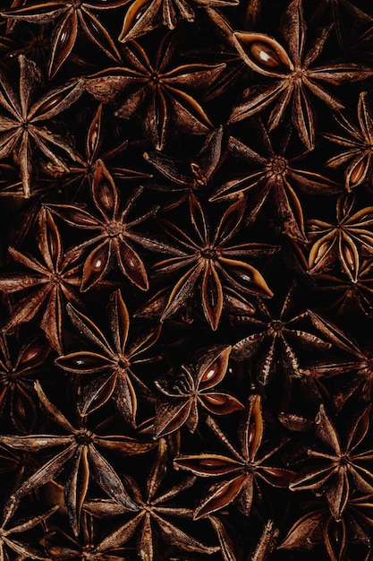 Star anise seeds top view background