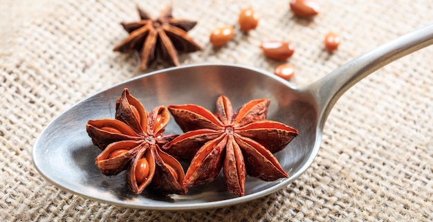 Star anise in a spoon