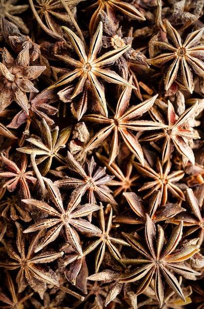 Star anise Top view