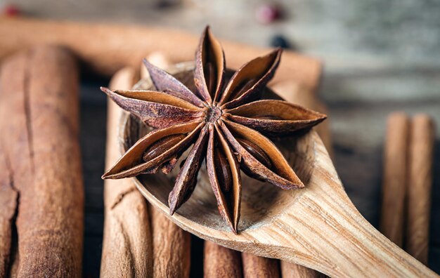 Star anise on a wooden spoon on a blurred background of cinnamon sticks