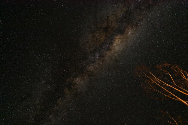 Photo star field against sky at night