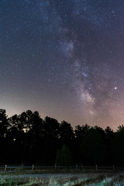 夜の星のフィールド