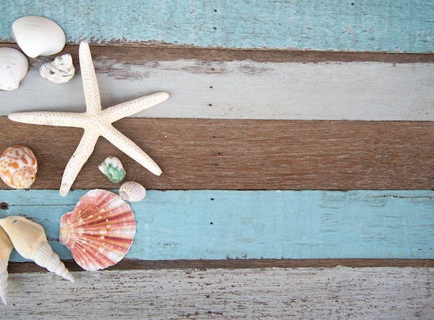 Star fish and sea animal on wooden background