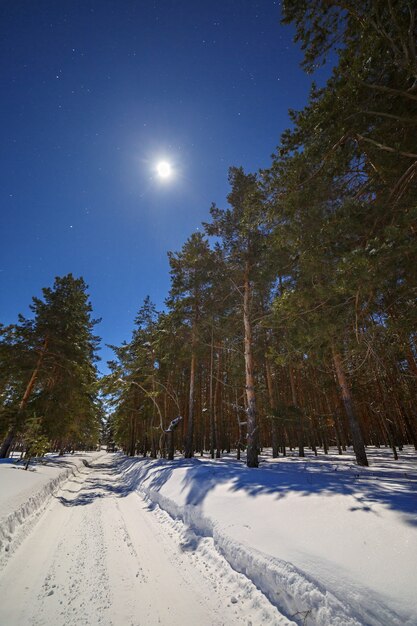 Звезда и полная луна в небе ночью. Зимняя дорога с глубоким снегом в хвойном лесу.