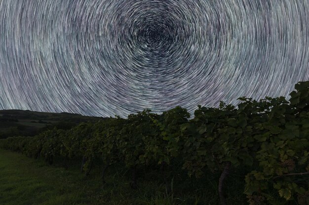 Звездные тропы над виноградником. Стартрейлы ночного неба.