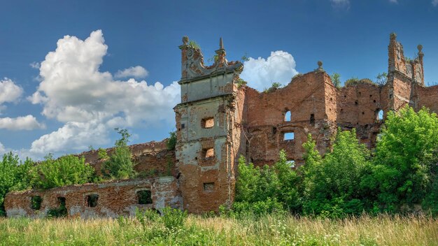 Stare Selo, Oekraïne 10.07.2021. Stare Selo Castle-ruïnes in de regio van Lviv in Oekraïne op een zonnige zomerdag