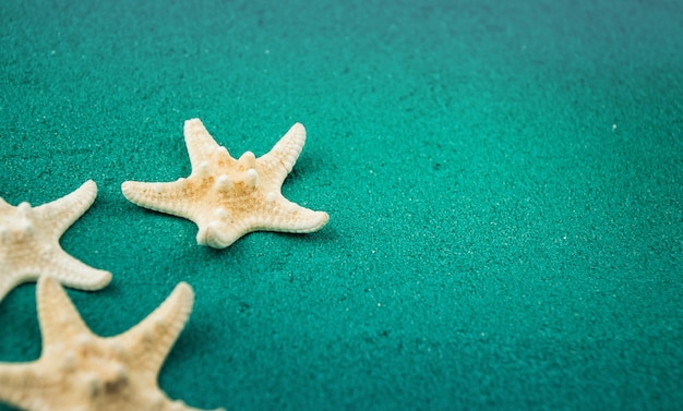 Starfish on the green sand copy space. Colored sand.