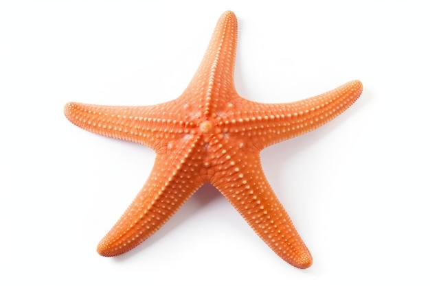 Starfish Ocean Marine Animal Geïsoleerd op witte achtergrond Generatieve AI