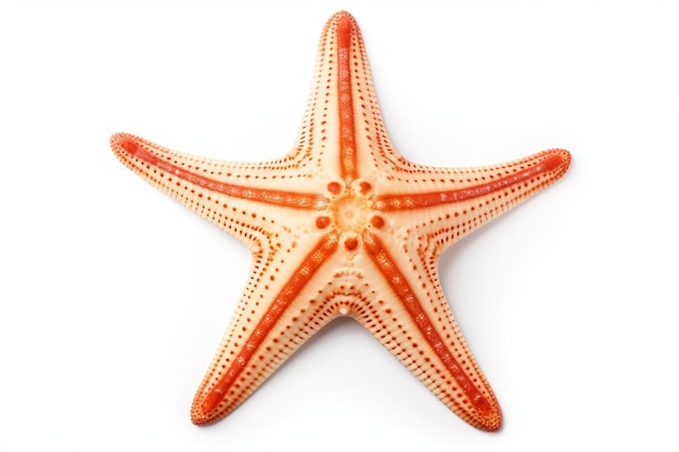 Морская звезда Океаническое морское животное изолировано на белом фоне Генеративный ИИ