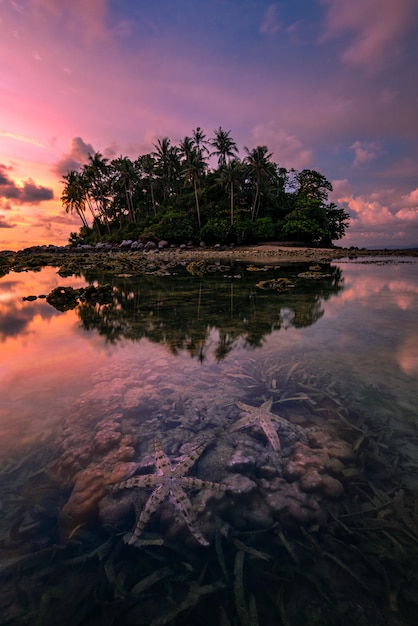 Photo starfish on sea beach at sunset , tropical beach and beautiful sunset in phuket thailand.