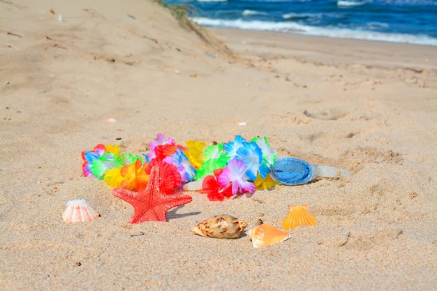 Starfish seashells necklace and goggles by the sea