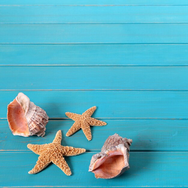 Starfish and seashells on old weathered blue painted wood decking. 