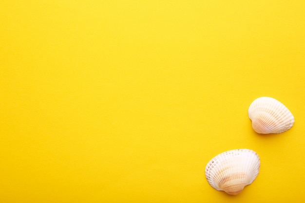 Stelle marine e conchiglie su giallo. concetto di estate