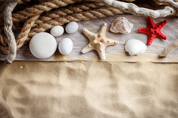 Starfish and shells on the beach.