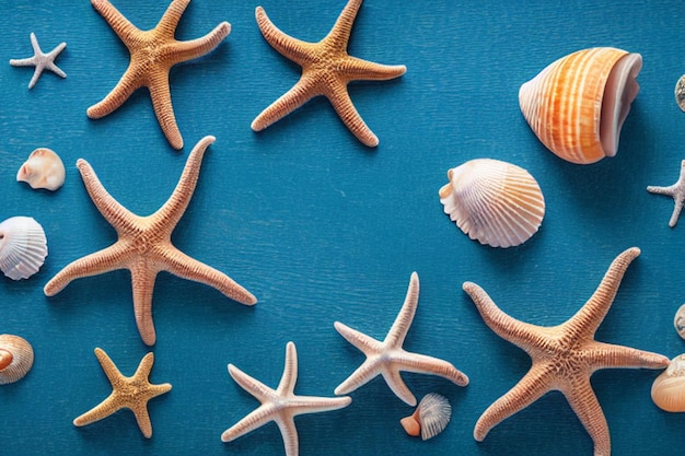 Starfish and shells on a blue background