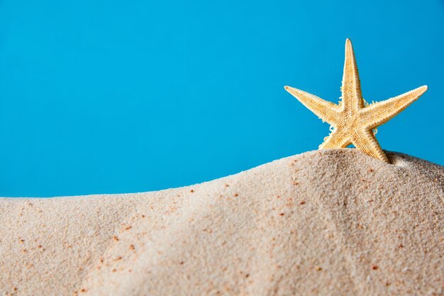 Starfish stands in the sand on a blue background