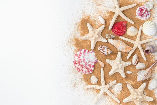 Starfish and various shells on the beach sand on a light wall. Top view, copy space.