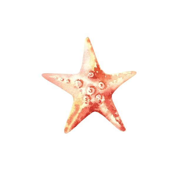 The starfish Watercolor illustration on an isolated background Marine animals Inhabitants of the seabed