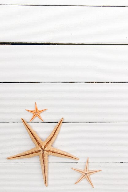 Starfish on white wood