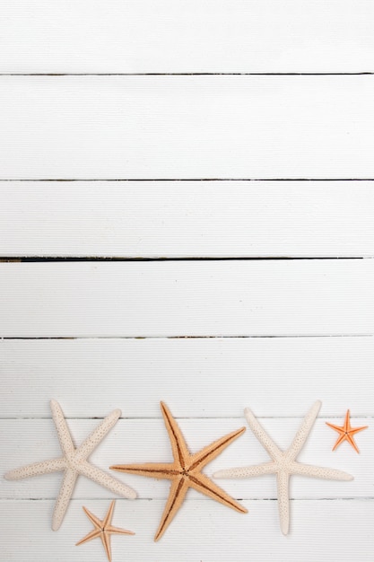 Foto starfish su legno bianco