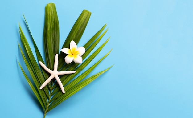 Starfish with plumeria or frangipani flower on tropical palm leaves on blue background. Enjoy summer holiday concept.