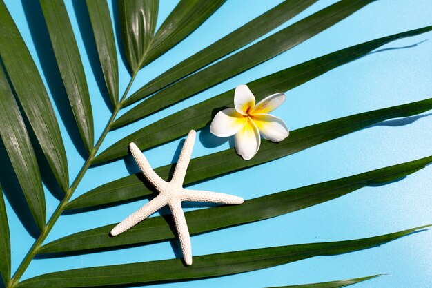 Starfish with plumeria or frangipani flower on tropical palm leaves on blue