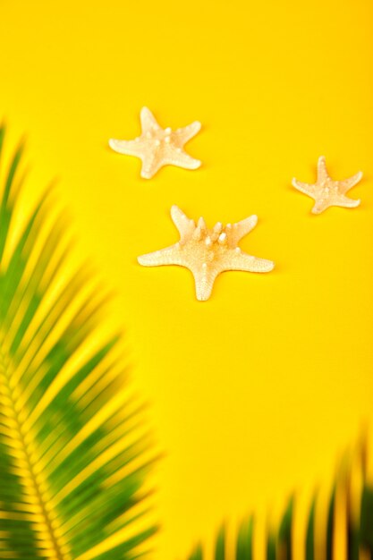 Starfish with tropical palm branches