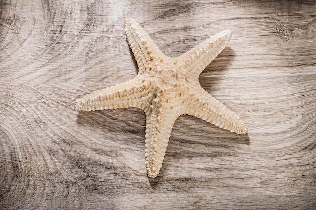 Foto stelle marine sul concetto della stazione termale del bordo di legno