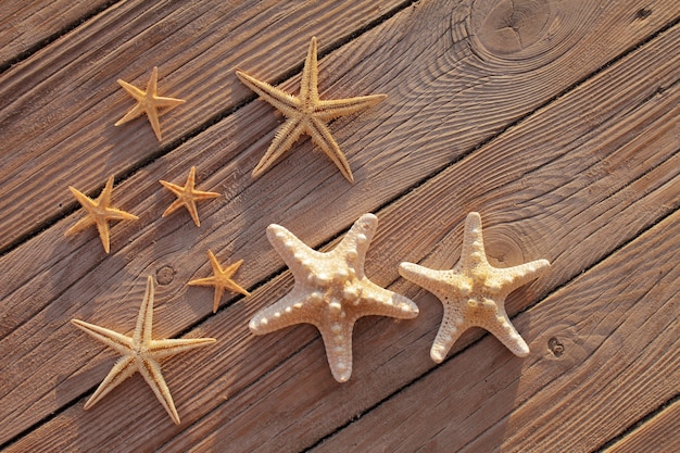Foto stelle marine su un molo di legno versate su un ponte di legno